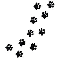 Pfoten